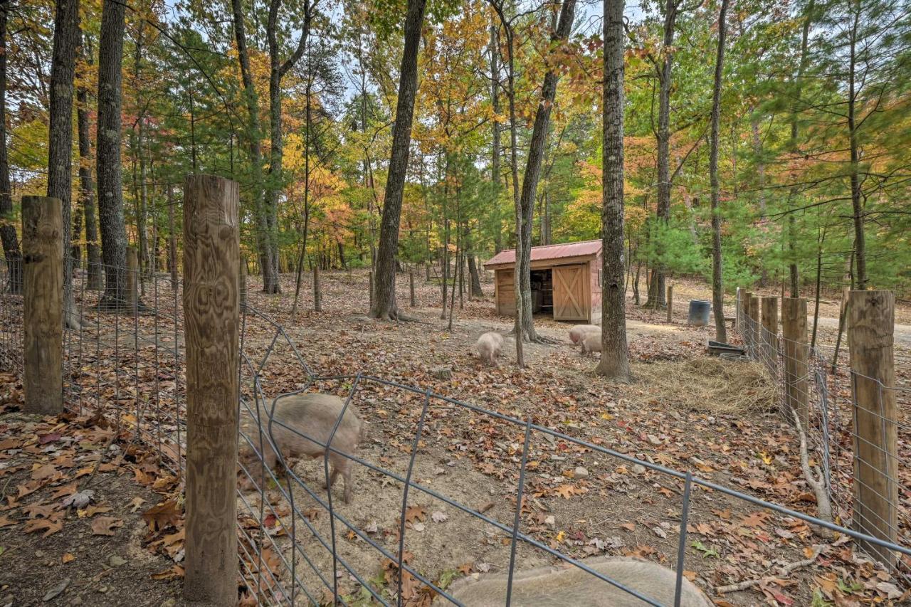 Cheyenne Ranch Apt With 50 Acres By Raystown Lake Huntingdon Exterior photo